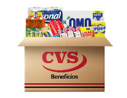 Cesta Kit Limpeza Plus