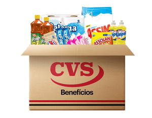 Cesta Kit Limpeza Básico - CVS Cestas de Alimentos