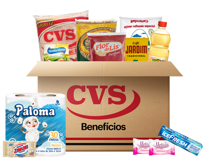 Cesta de Alimentos Econômica Kit
